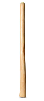 Medium Size Natural Finish Didgeridoo (TW1746)